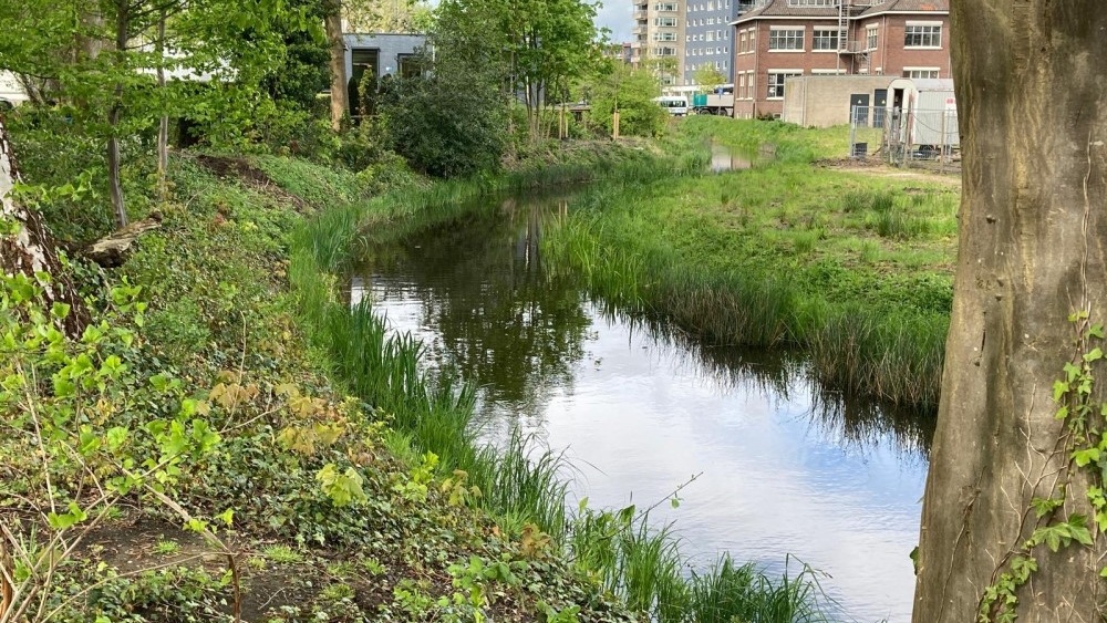 berflobeek_marskant_4